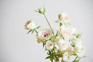 ストロベリーミルフィーユ