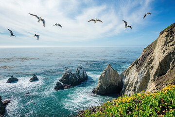 Coastal cliffs with a view of the ocean and seabirds flying overhead