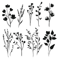 A black and white Silhouettes of blooming flowers set with white background