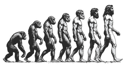 evolution of man from ape through various stages to modern human sketch engraving character vector illustration. high resolution 2