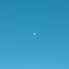 Moon of the new year 