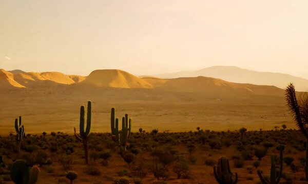 Beautiful desert landscape with cact. generative AI