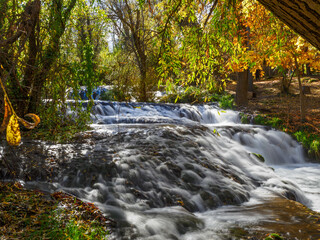 Scenic view of waterfall in forest,Monasterio de Piedra,Spain