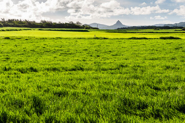 Beautiful view of Shuiwaku Prairie in Kenting National Park in Pingtung, Taiwan.