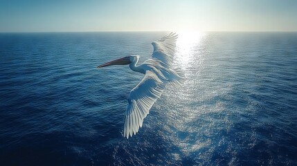Pelican Skimming Over Ocean Surface at Sunrise