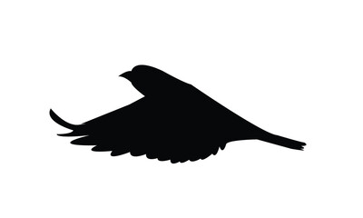Flying Finches Bird Silhouette Design  And Vector Illustration. 
