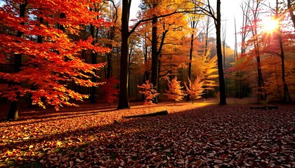 Obraz premium Autumnal Forest Scene Sunlit Trees Red and Gold Leaves. Sunlight streams through the branches.