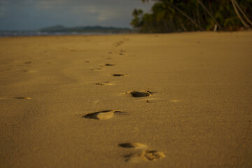 Footprints tracing across a serene beach at the beautiful time of sunset near the ocean