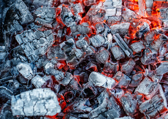 A pile of wood that has been burned