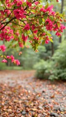 Naklejka premium there is a pink flowered tree in the middle of a forest