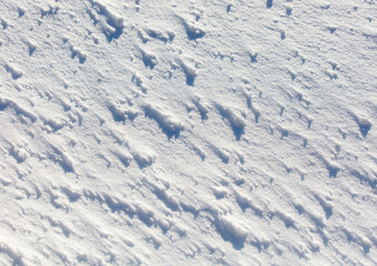 The snow is white and the ground is covered in it