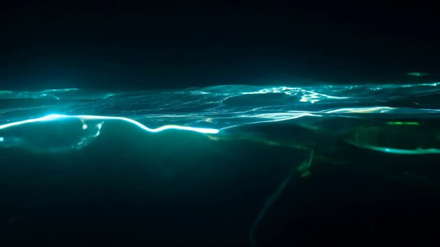 Seamless loop video of bioluminescent water with a slow pan and neon lighting. dark background emphasizes the natural light emission