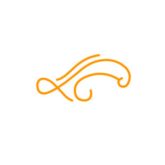 swirl of orange lines