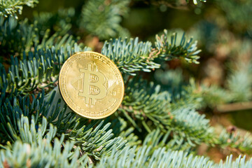 A golden Bitcoin rests on the branches of a decorated pine tree, symbolizing the connection between digital currency and the festive spirit of Christmas.