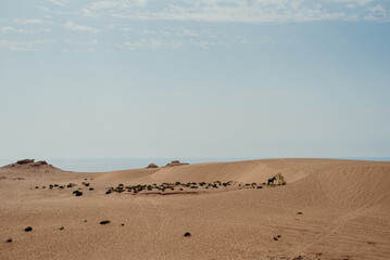 Golden Sand Dunes of Morocco's Little Sahara with Ocean View