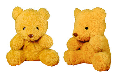 Teddy bear on transparent background, PNG file.