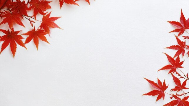 Vibrant red autumn maple leaves elegantly arranged on a clean white background showcasing nature's beauty and seasonal change.