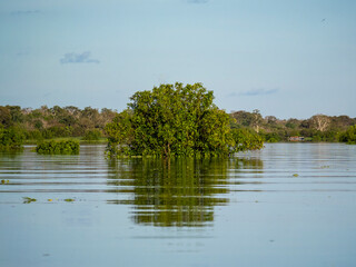 Amazon river landscape near the community of Anama.