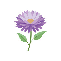  Aster flower isolated flat vector illustration on white background