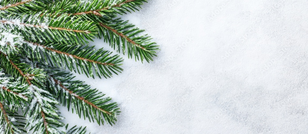 Aufkleber christmas tree branch with snow on white background creating a serene winter holiday atmosphere for 