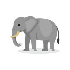 Asian Elephant animal isolated flat vector illustration on white background.