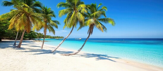 Tropical beach with palm trees and clear turquoise ocean under a bright blue sky on a sunny day