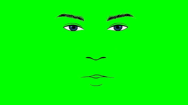 Cartoon eyes, eyebrows, nose and talking mouth or face of a person on a green screen for insertion, color key green screen motion graphics stock video 3D animation. Ultra high resolution. lip syncing