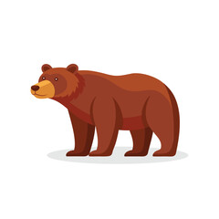 Grizzly Bear animal isolated flat vector illustration on white background.