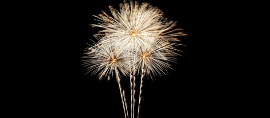 Obraz premium Colorful fireworks bursting in the night sky creating a vibrant display against a dark backdrop celebrating festive occasions and celebrations