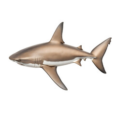 Obraz premium Realistic depiction of a shark, showcasing its streamlined body and features, ideal for marine life illustrations.