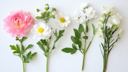 Fototapeta premium Floral arrangement on a white background showcasing various fresh flowers for design inspiration and decoration ideas.