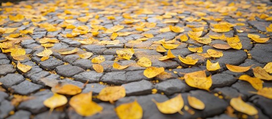 Autumn leaves scattered on cobblestone walkways creating a picturesque park scene in vibrant yellow hues