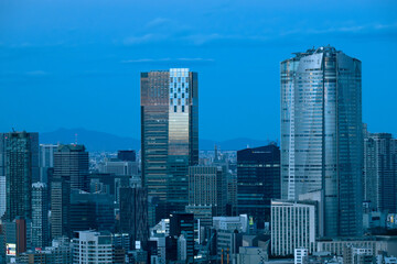 Obraz premium 東京の夕暮れ時を展望台から眺める