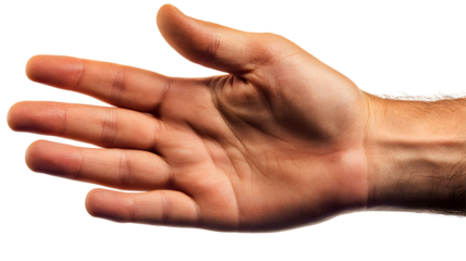 Open human hand in a welcoming gesture.