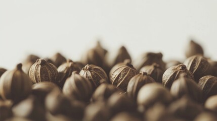 Dried coriander seeds in close-up showcasing their unique texture and rich brown color ideal for culinary and spice-related themes