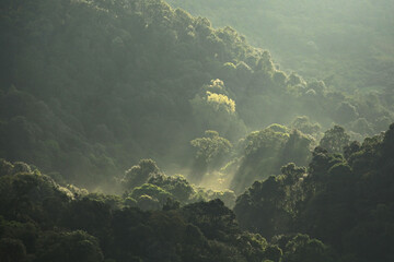 The abundance of Kaeng Krachan forest natural world heritage Phetchaburi Province, Thailand 