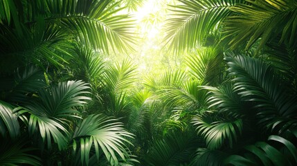 Lush tropical foliage with vibrant green leaves creating a dense forest ambiance illuminated by soft light in a serene natural setting