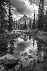 Mountain reflection in pond