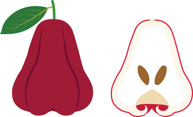 Fresh organic Rose apples with green leaf, Whole and half Java apple isolated on white background. Vector illustration of tropical fruit's flat style.