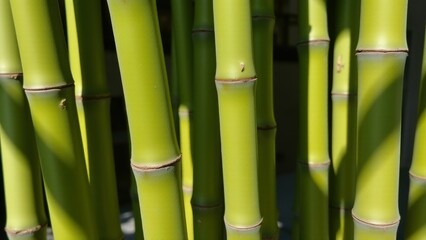 Wabi-sabi Close-up of vibrant green bamboo stalks, highlighting their natural texture and simplicity.