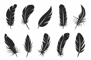 Feather icon, animal feathers isolated, black plume symbol, minimal plume silhouette on white
