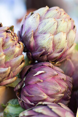 Frische Artischocken, Gemüse vom Wochenmarkt. Lila und grün