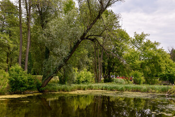Fototapeta premium Scenic Summer Landscape with Calm River and Lush Greenery in Poland
