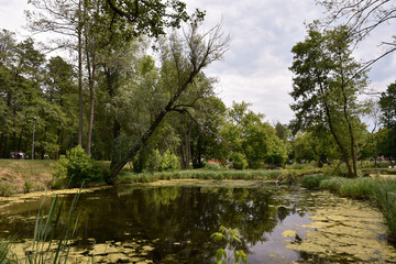Scenic Summer Landscape with Calm River and Lush Greenery in Poland