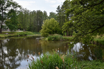 Scenic Summer Landscape with Calm River and Lush Greenery in Poland