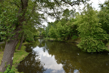 Scenic Summer Landscape with Calm River and Lush Greenery in Poland