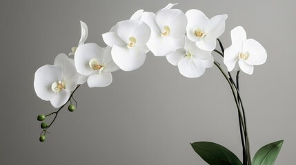 Elegant artificial orchid arrangement in a sleek vase enhancing modern home decor aesthetics.