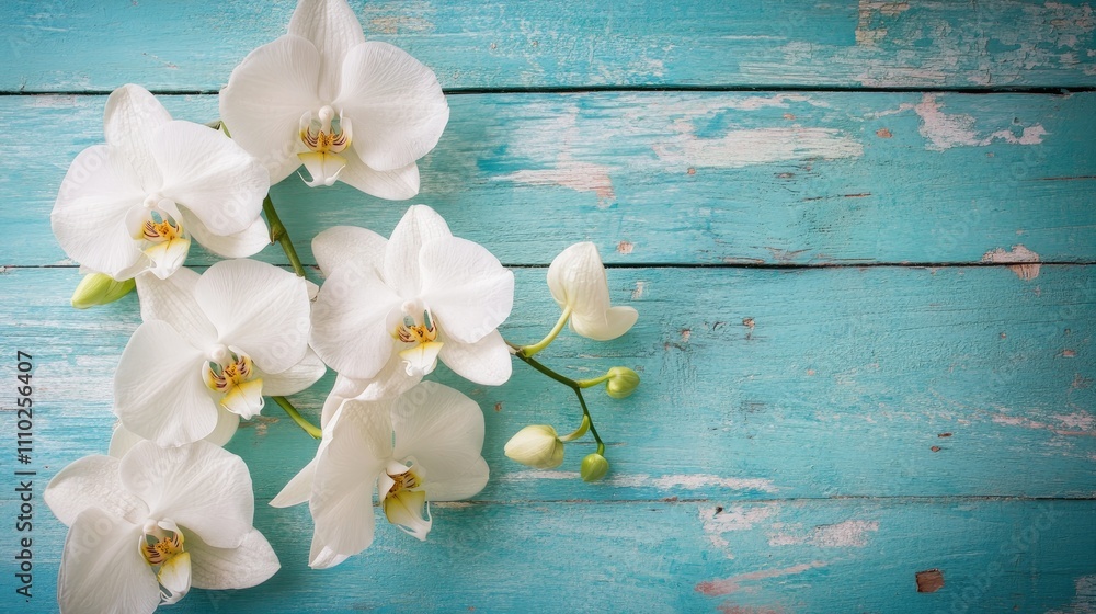 Poster elegant white orchids arranged on a rustic blue wooden background creating a serene and refreshing b