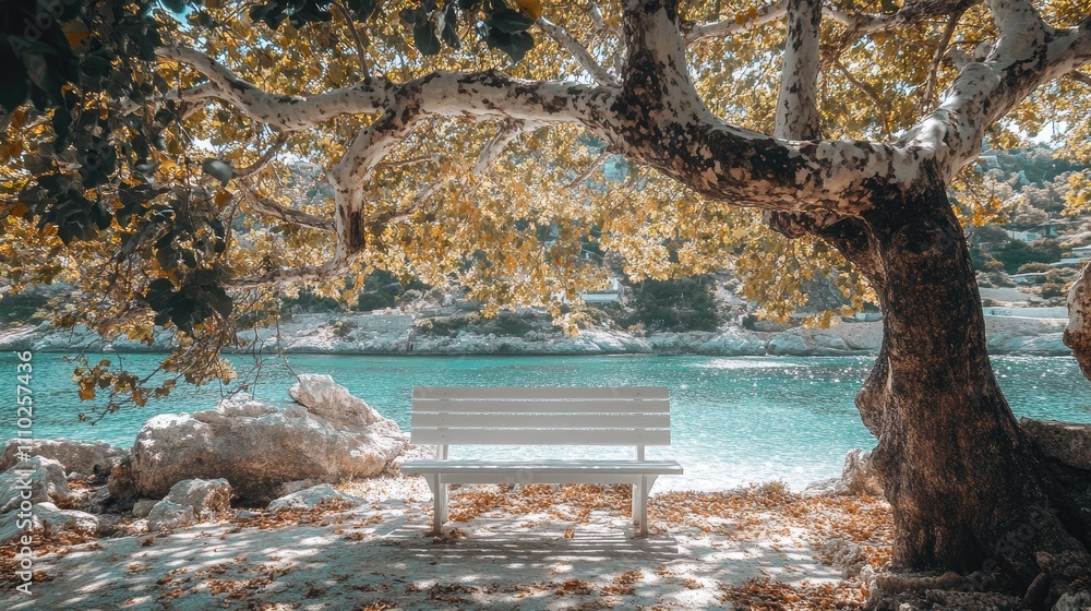 Poster tranquil seaside bench under a tree in zakynthos during golden hour perfect for relaxation and enjoy