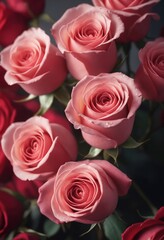 Naklejka premium Closeup of roses concept for Valentine's Day. Selective focus